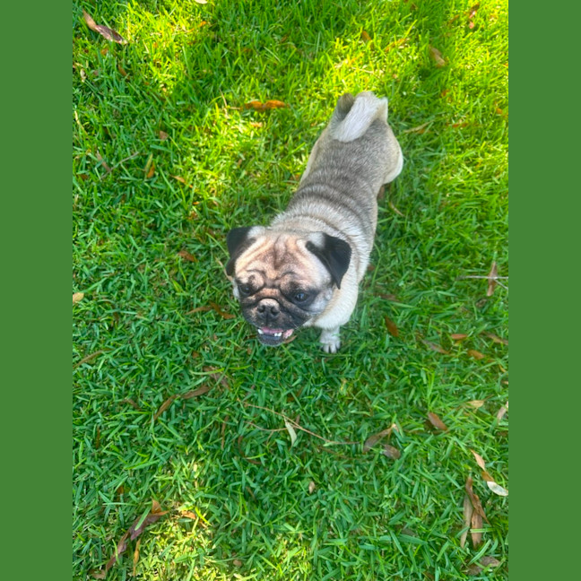 Photo of Walter