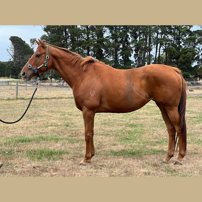 Photo of Miss Nibbles