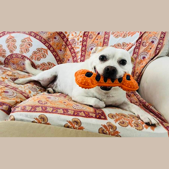 Photo of Walter And Abby