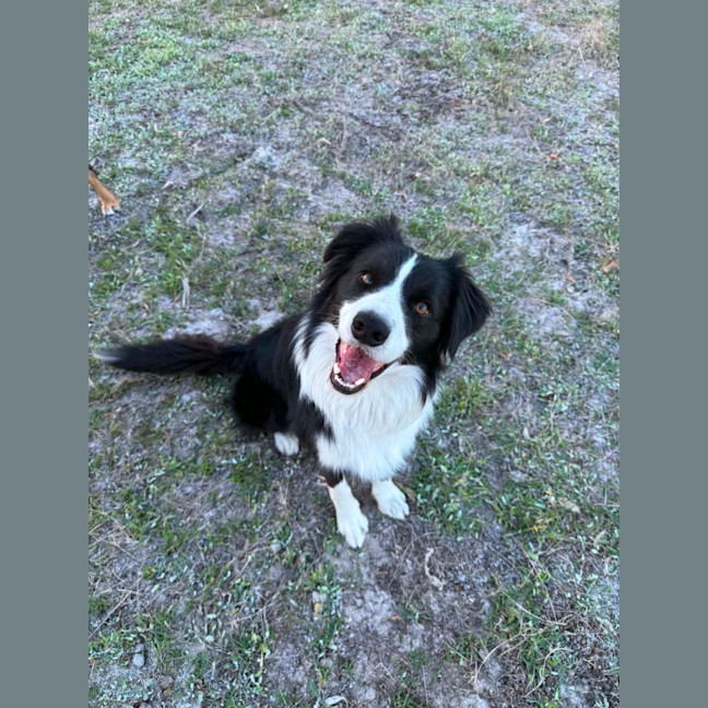 Photo of Zephyr