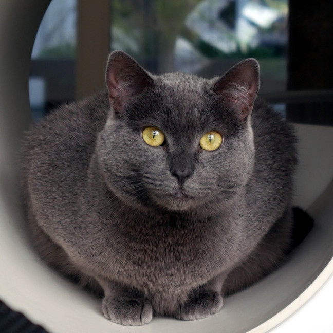 Photo of Billie Sta013366