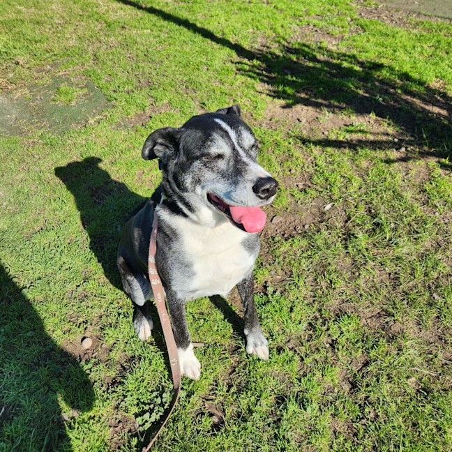 Photo of Carma (63892)