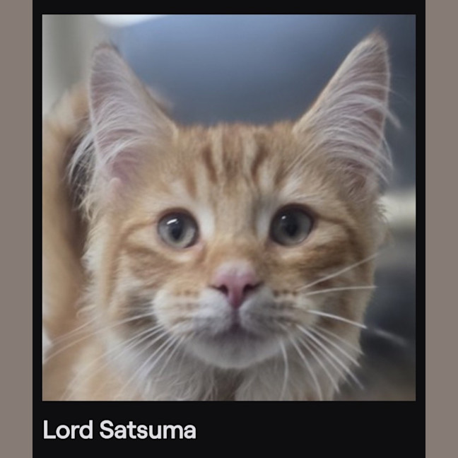 Photo of Lord Satsuma