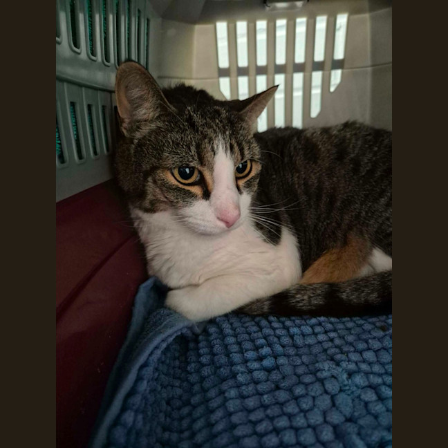 Photo of Mr Roy! 🎩