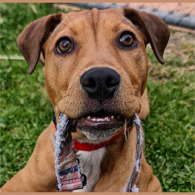 Photo of Betsy