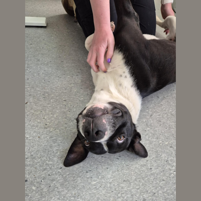 Photo of Kenny! 🤍🖤