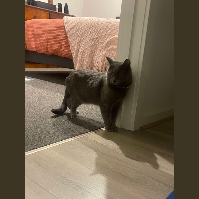 Photo of Mia (Memeow)