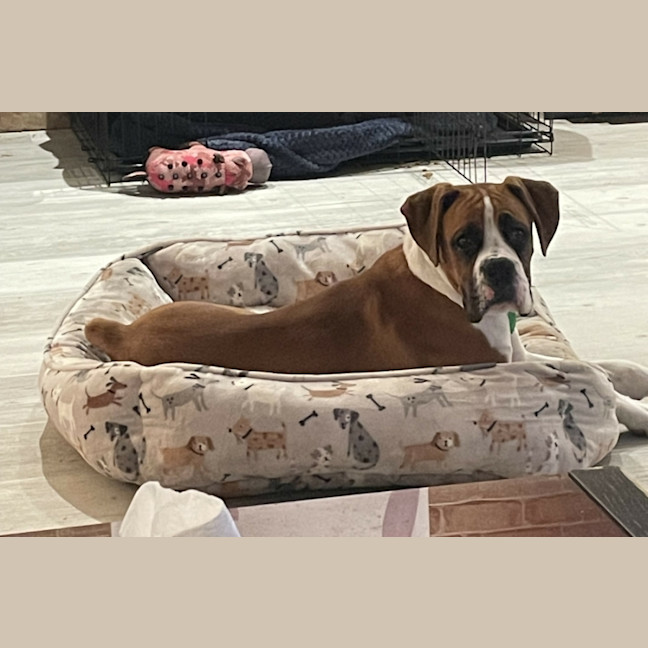 Photo of Russell Coight