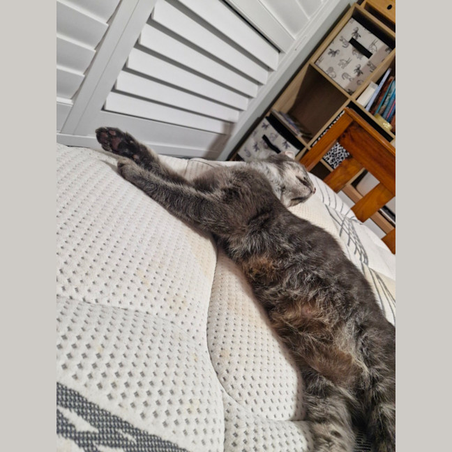Photo of Kanga