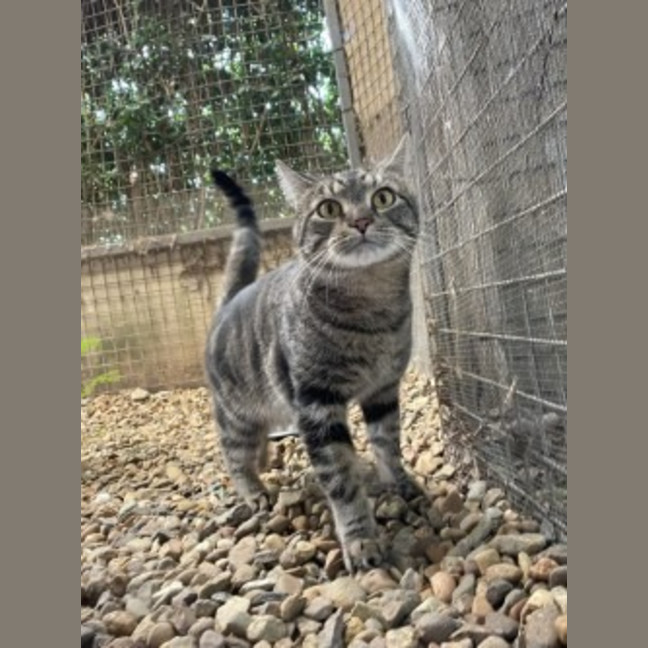 Photo of Monty