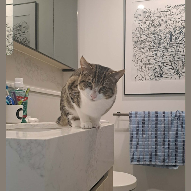 Photo of Billy