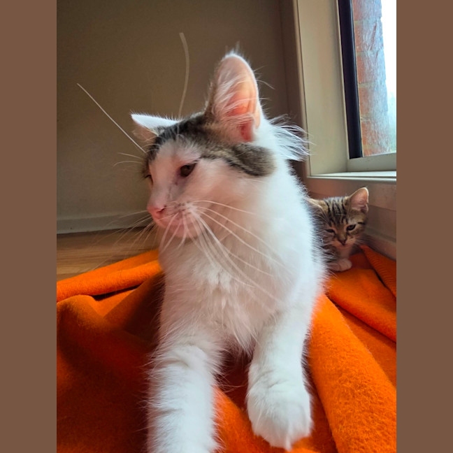 Photo of Dotty