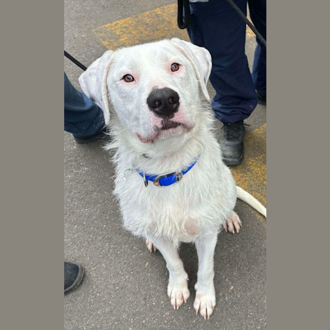 Photo of Ghost