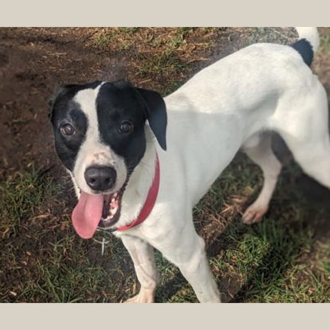 Photo of Aston Martin