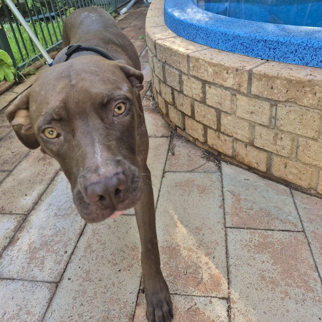 Photo of Heidi