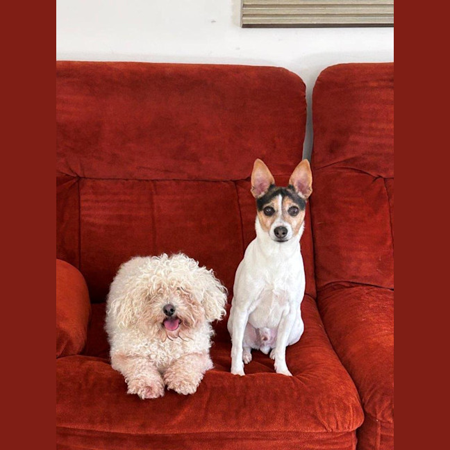 Photo of Oscar And Tilly Tamblyn