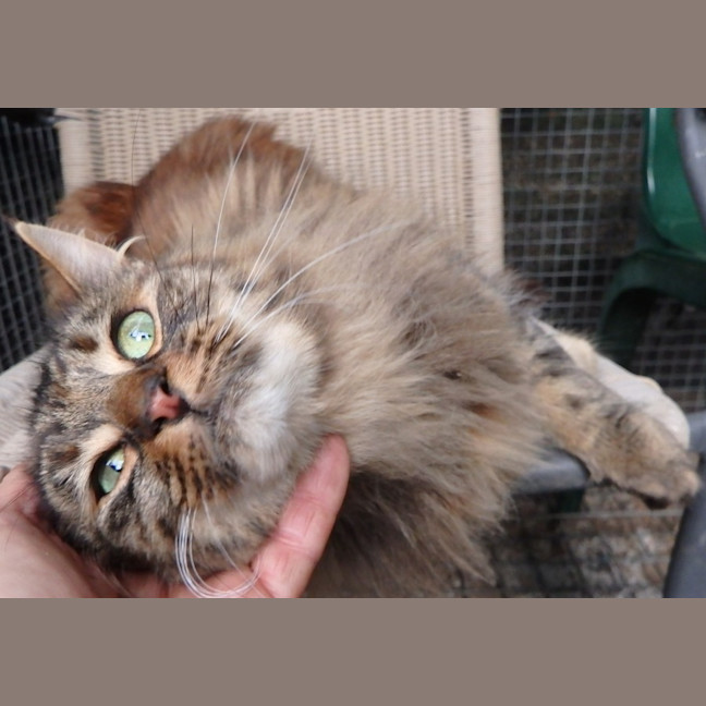 Photo of Fleur And Sky