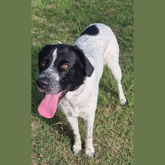 Photo of Lady Primrose (8981)