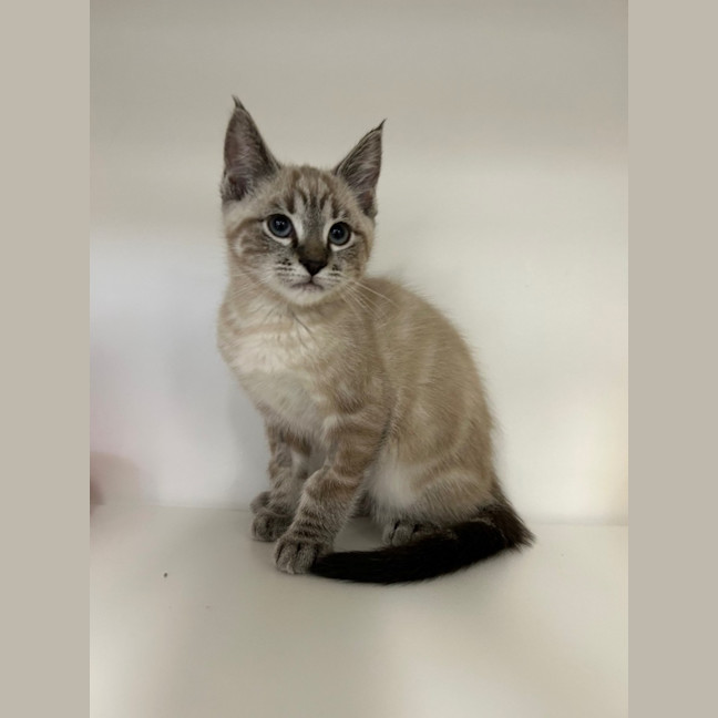 Photo of Ebony & Ivory