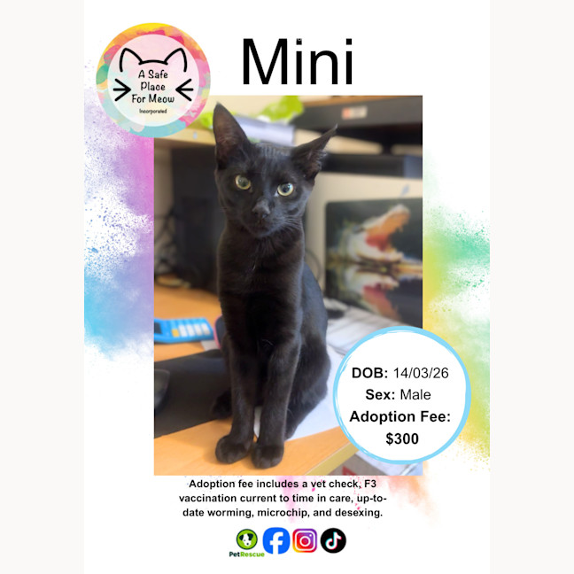 Photo of Mini