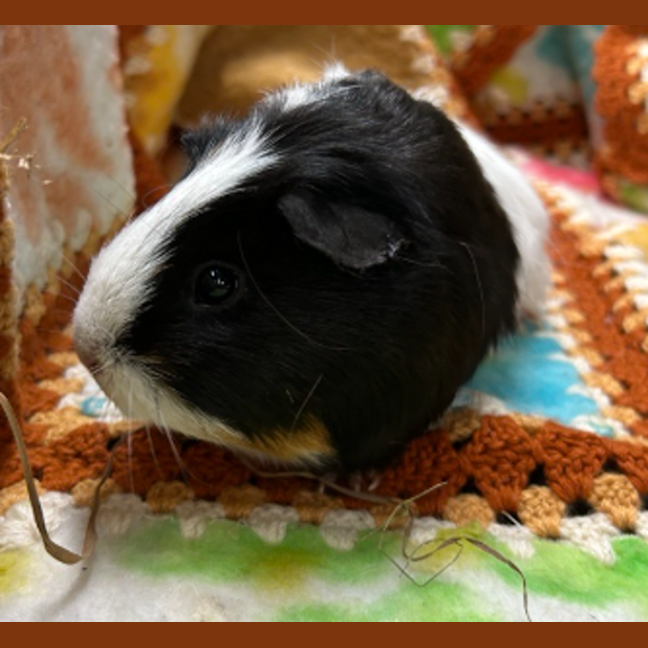 Photo of Cloud