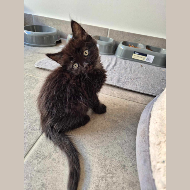 Photo of Spooky