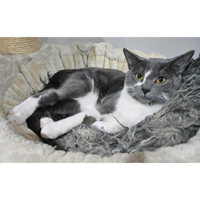 Photo of 12193   Brock