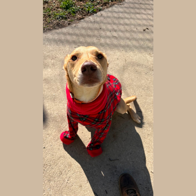 Photo of Lucy