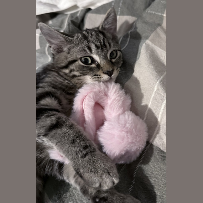 Photo of Zeus