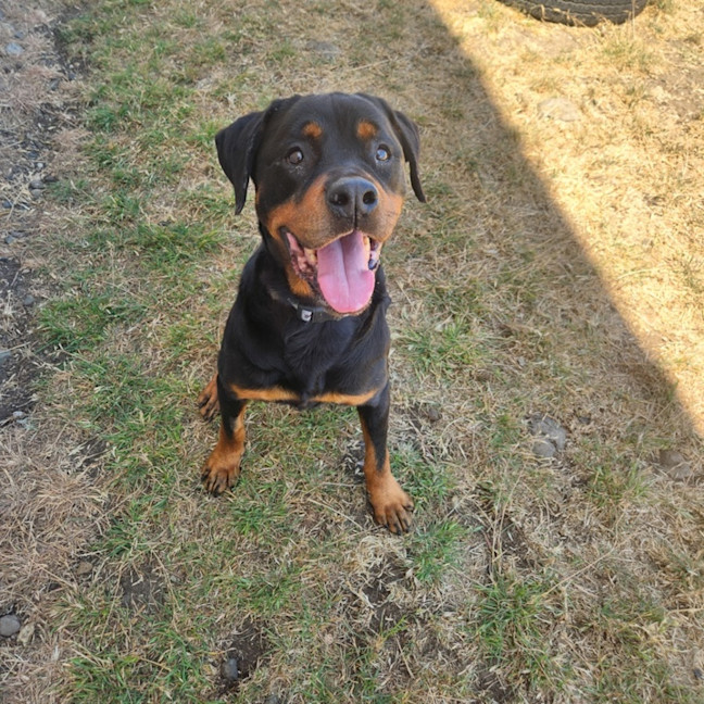 Photo of Lunar (66650)