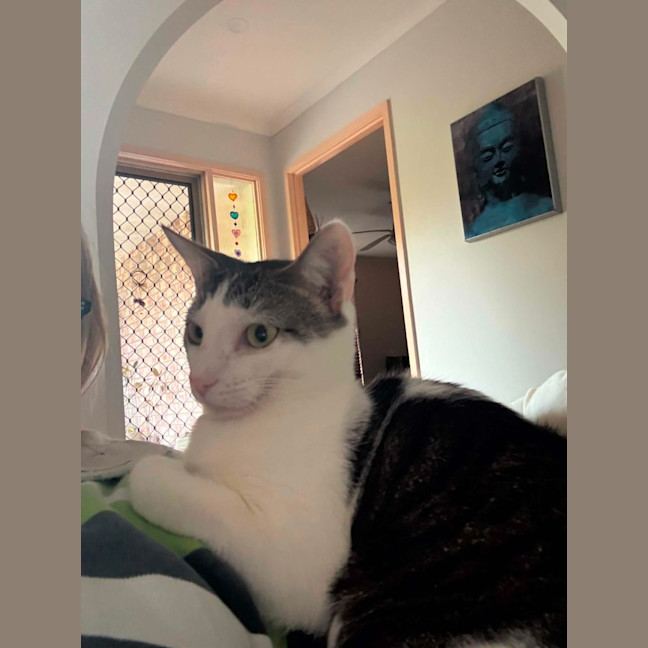 Photo of Lola