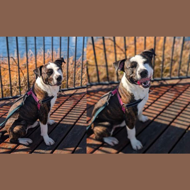 Photo of Benson