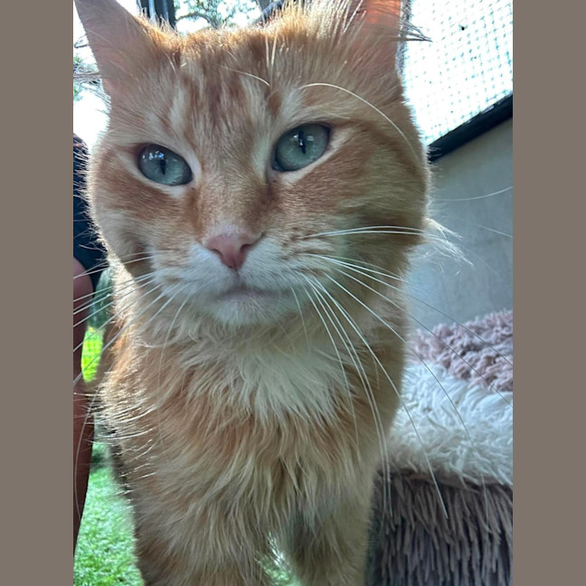 Photo of Kingston 