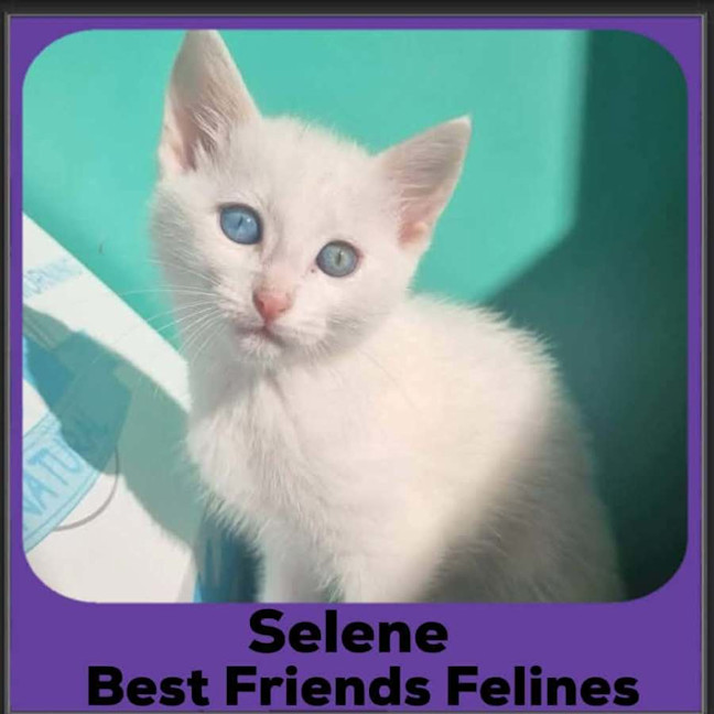 Photo of Selene