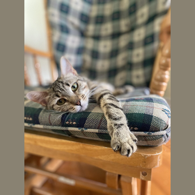 Photo of Kara
