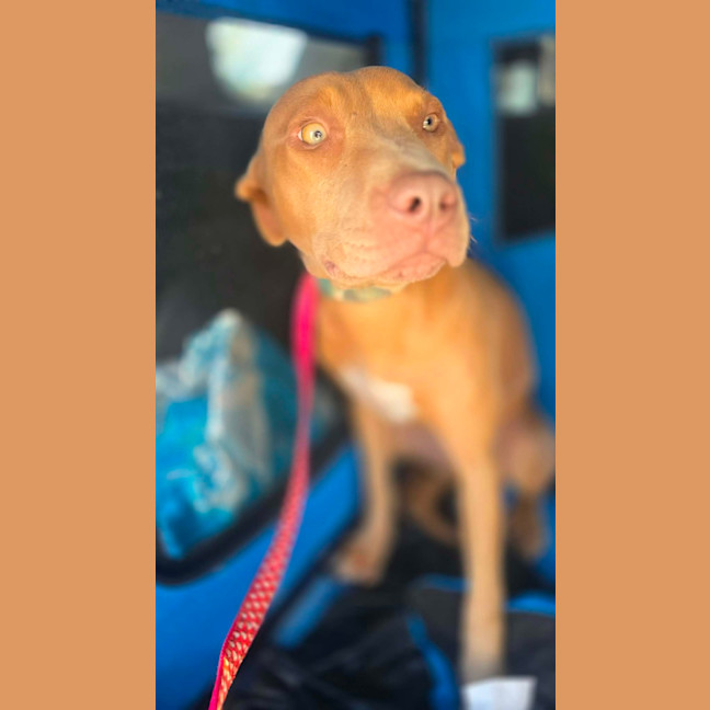 Photo of Princess