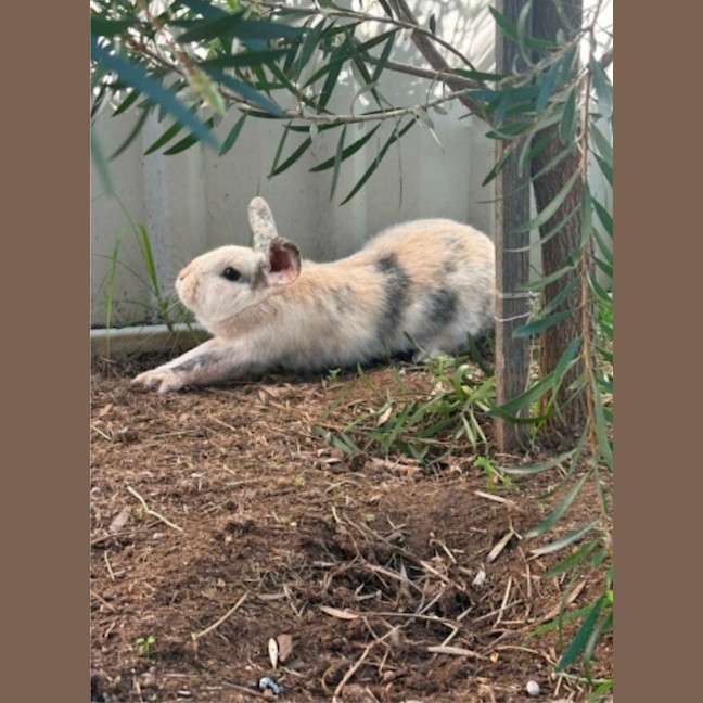 Photo of Dorothy