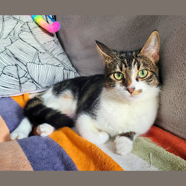 Photo of Momo