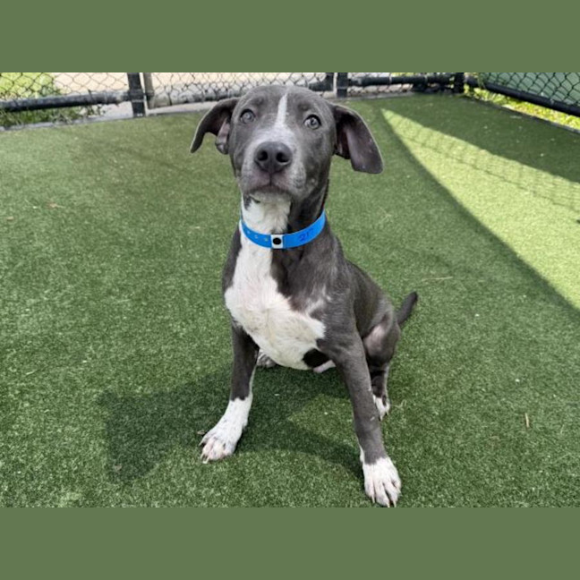 Photo of John Imp 217