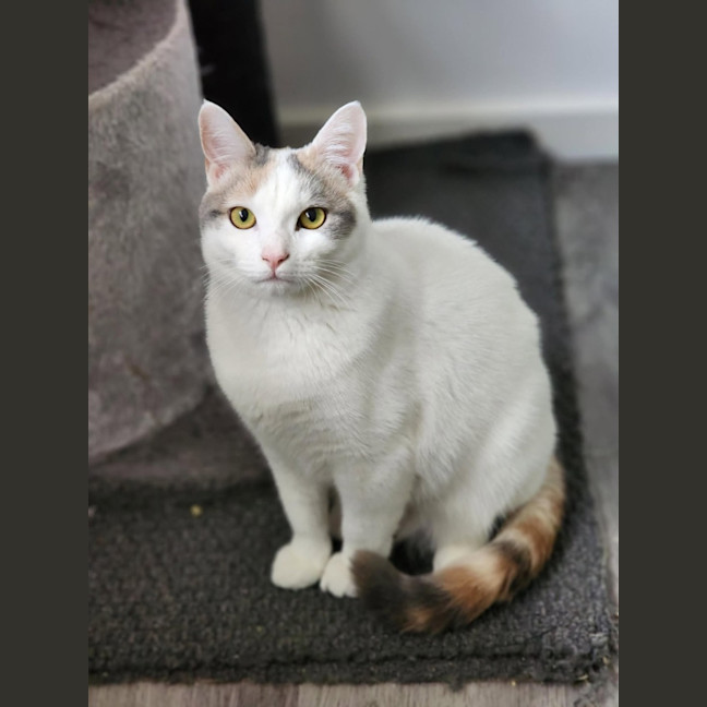 Photo of Bonnie   Located In Avondale Heights