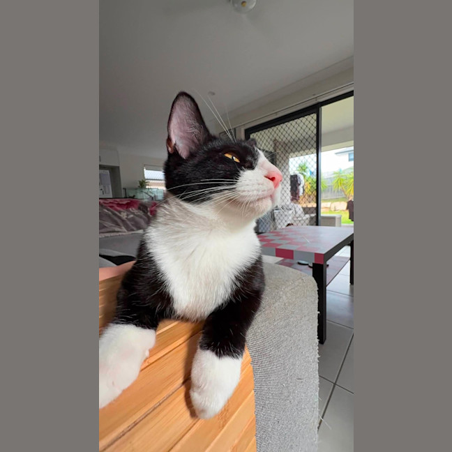 Photo of Button