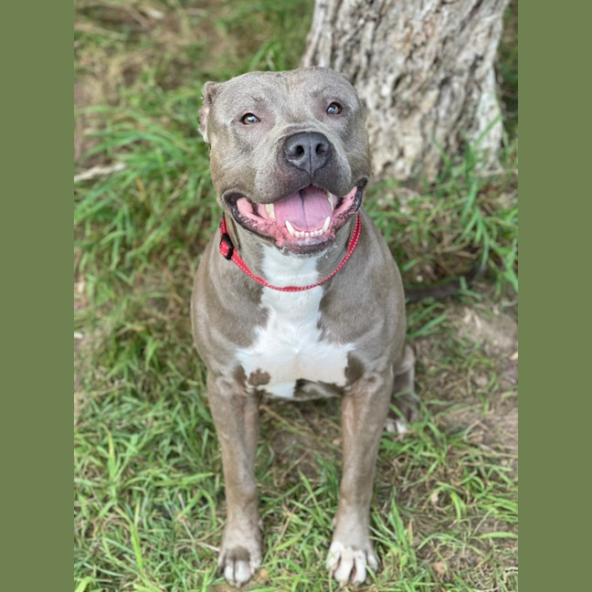 Photo of Thor