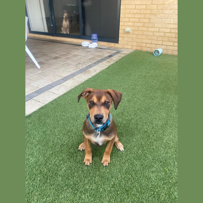 Photo of Spike