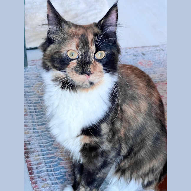 Photo of Lucy