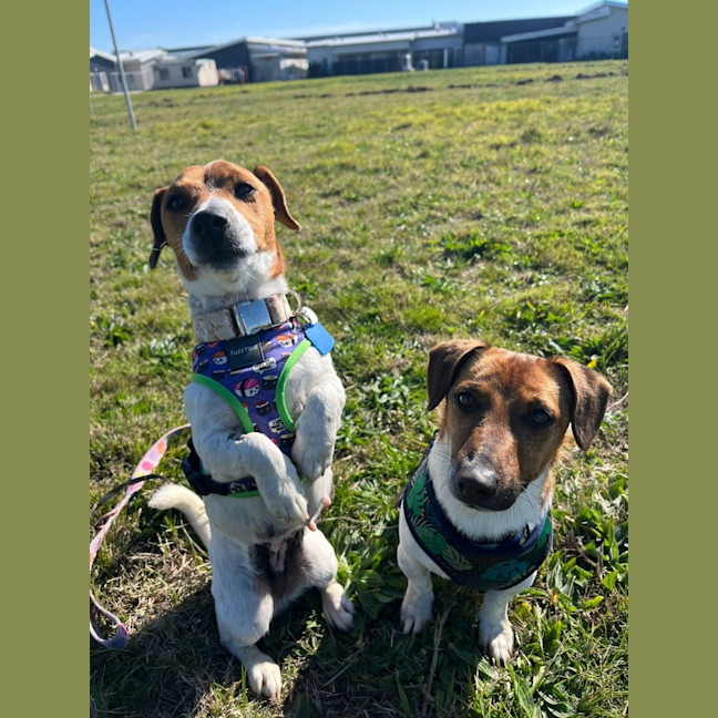 Photo of Phoebe & Wilson