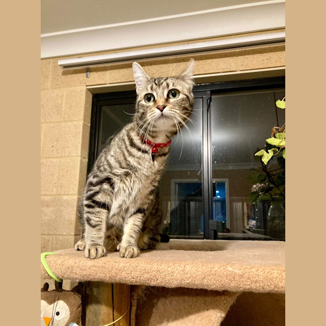 Photo of Luna