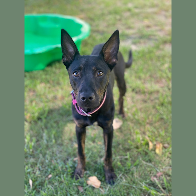 Photo of Maisey