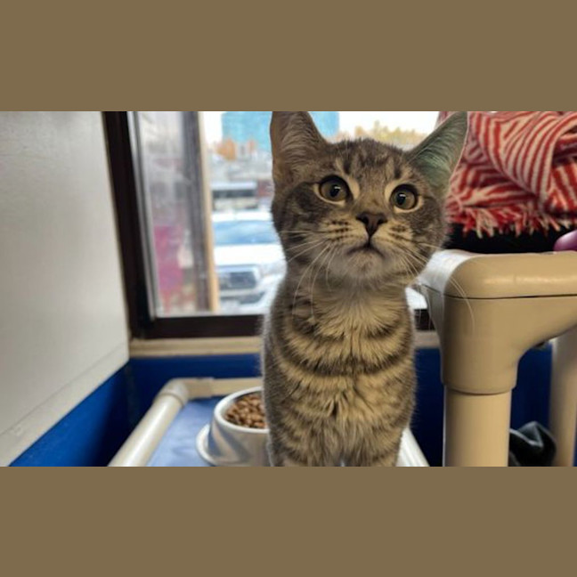 Photo of Cleo