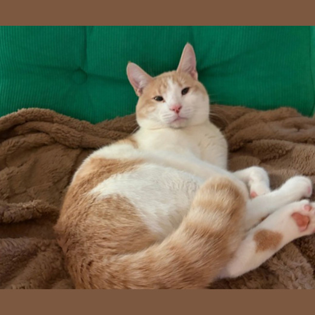 Photo of Meep Beep