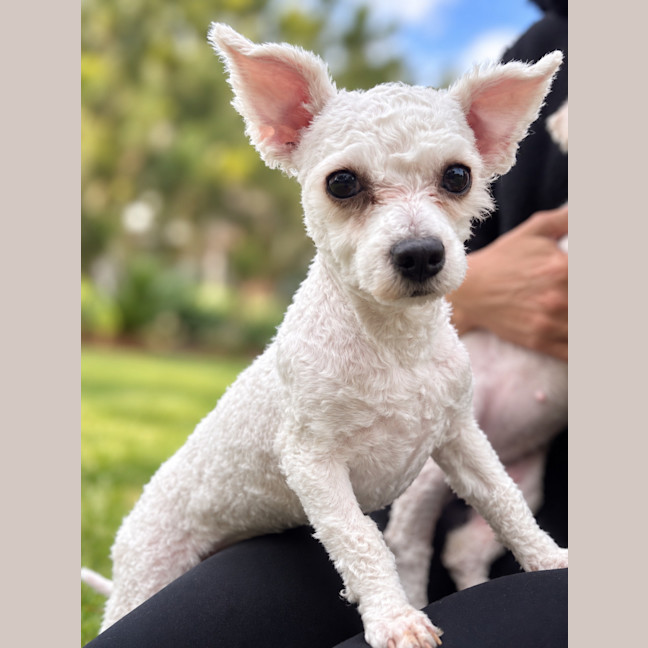 Photo of Molly